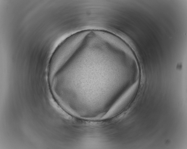 X0000114010958200910231812