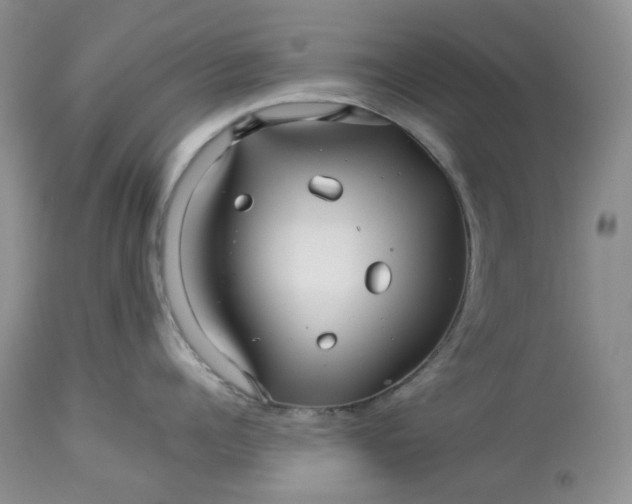 X0000114010960200910231812