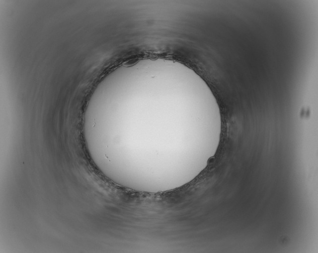 X0000114010961200910231811