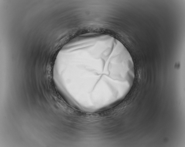 X0000114010964200910231811