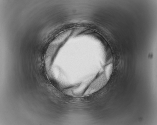 X0000114010966200910231811