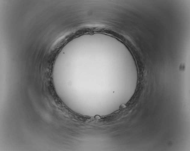 X0000114010967200910231811