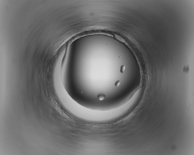 X0000114010969200910231811