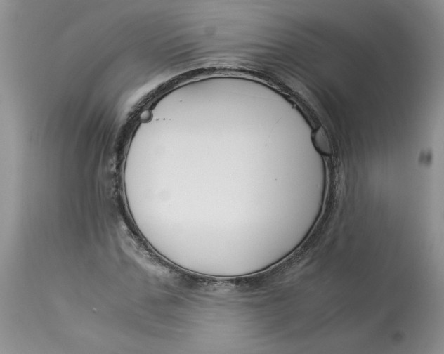 X0000114010971200910231811