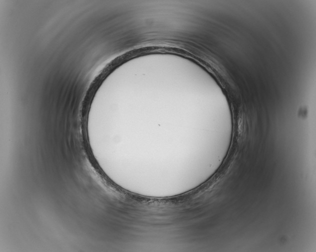 X0000114010972200910231811