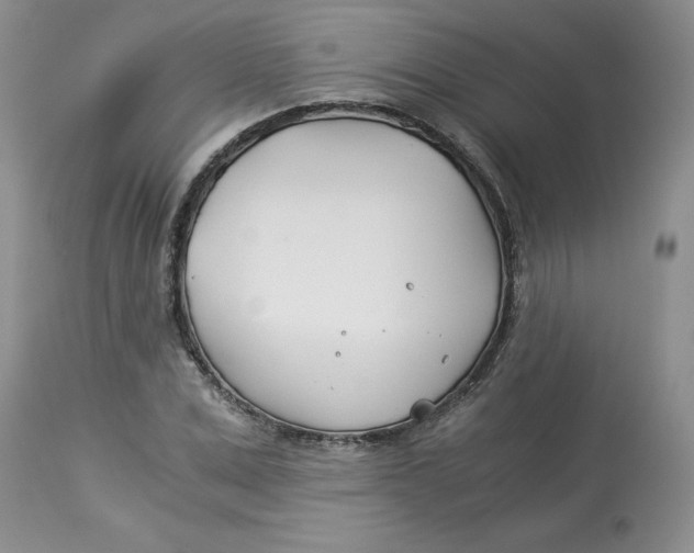 X0000114010975200910231811