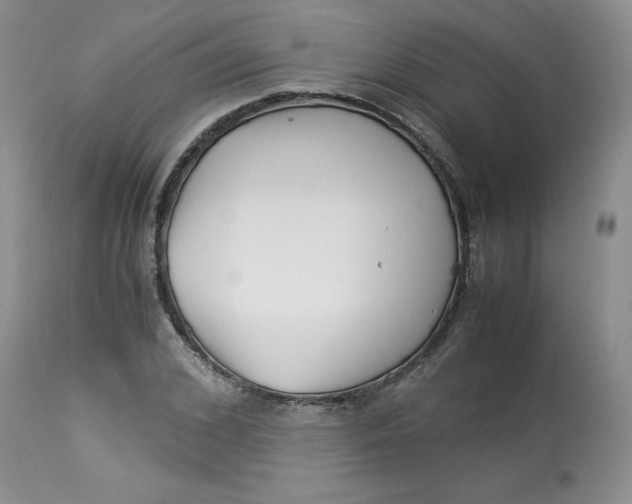 X0000114010976200910231811