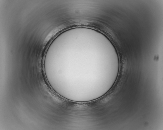 X0000114010978200910231811