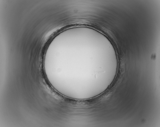 X0000114010979200910231811