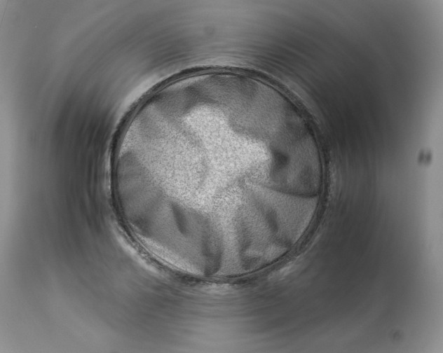 X0000114010982200910231811