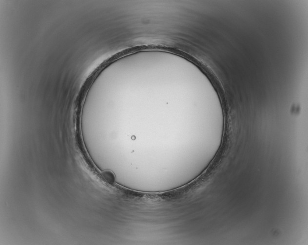 X0000114010983200910231811