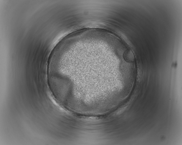 X0000114010986200910231811