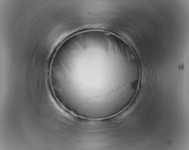 X0000114010989200910231811