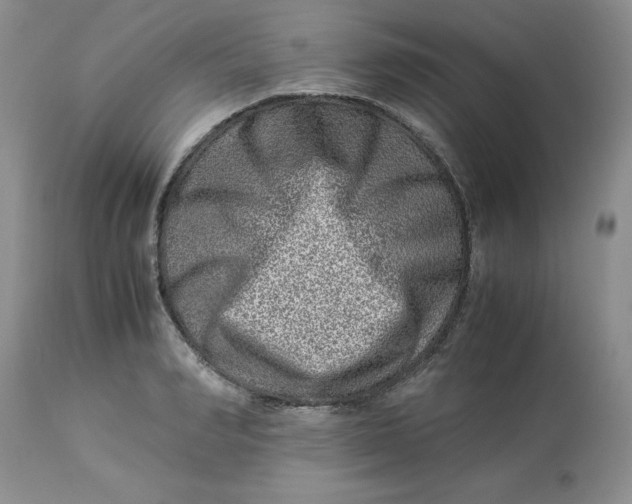 X0000114010990200910231811