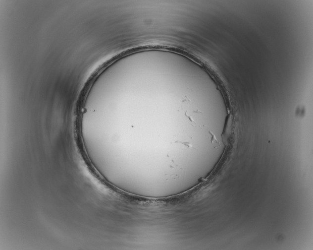 X0000114010991200910231811