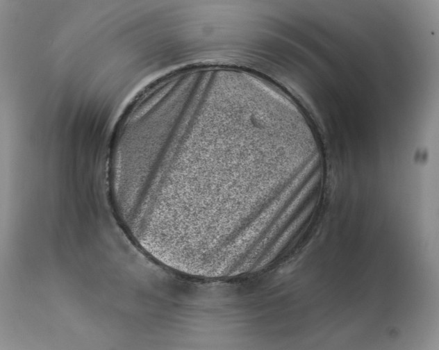 X0000114010992200910231811