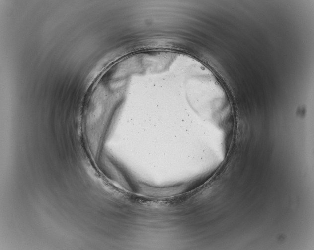 X0000114010994200910231811