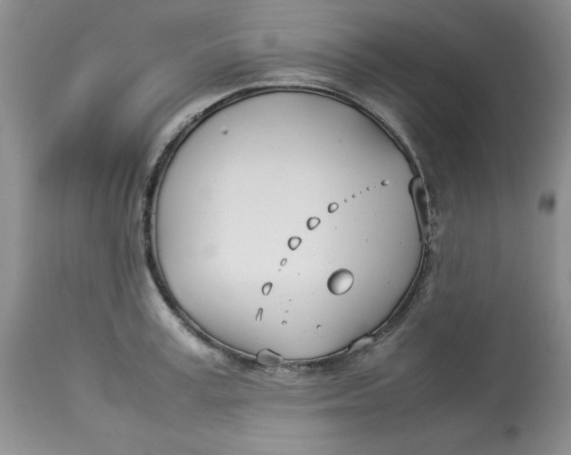 X0000114010995200910231811