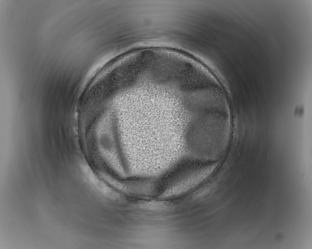 X0000114010998200910231811