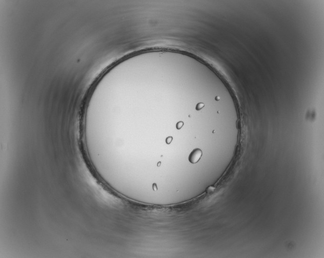 X0000114010999200910231811