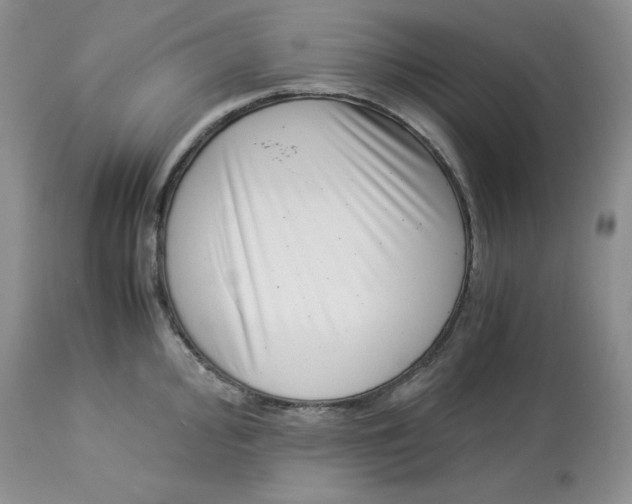 X0000114011000200910231811