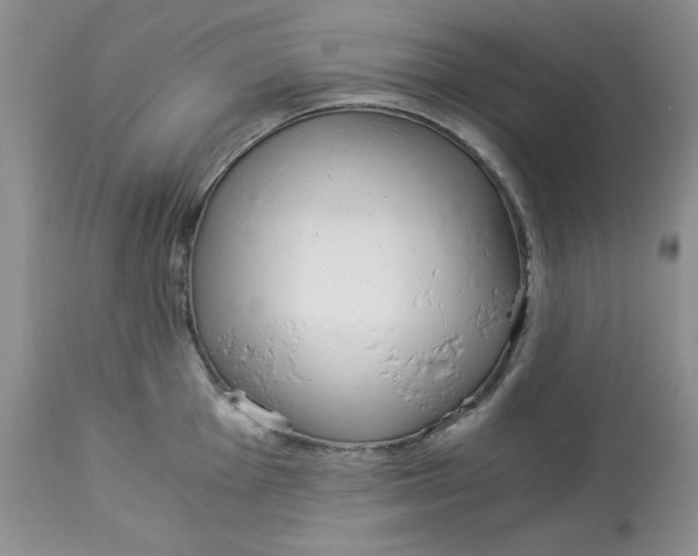 X0000114011001200910231811