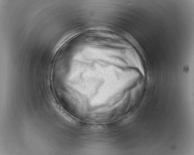 X0000114011002200910231811