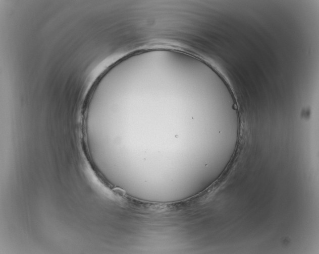 X0000114011003200910231811