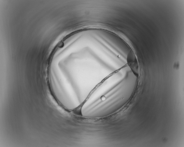 X0000114011005200910231811