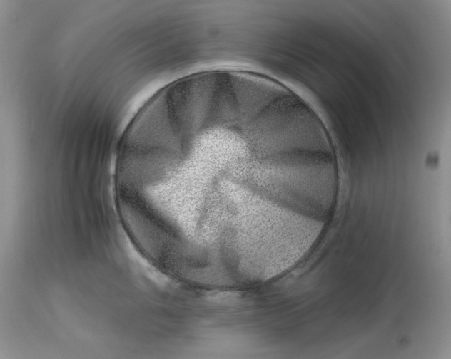 X0000114011006200910231811