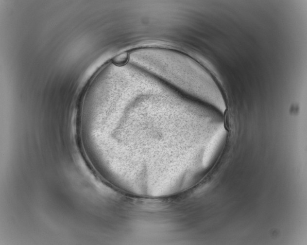 X0000114011007200910231811