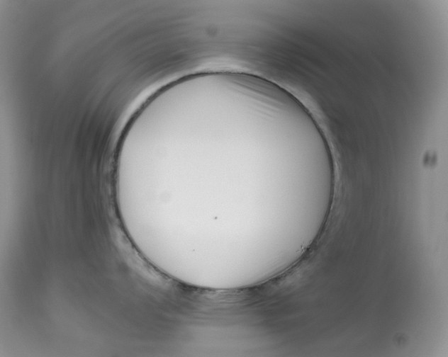 X0000114011008200910231811