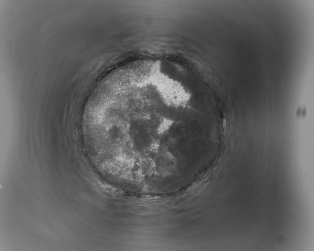 X0000114011009200910231810