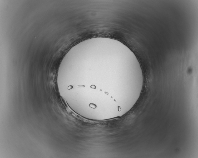 X0000114011010200910231810