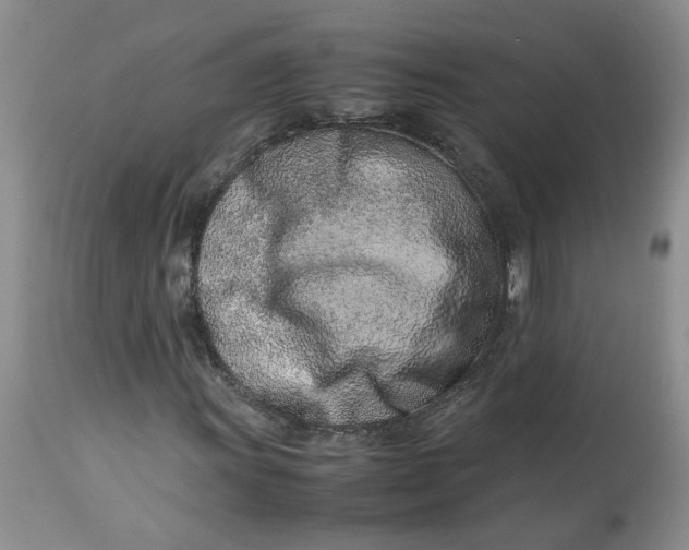 X0000114011011200910231810