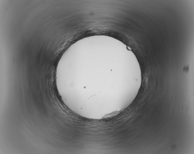 X0000114011012200910231810