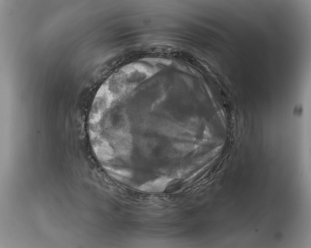 X0000114011013200910231810