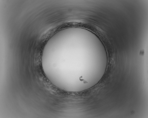 X0000114011014200910231810