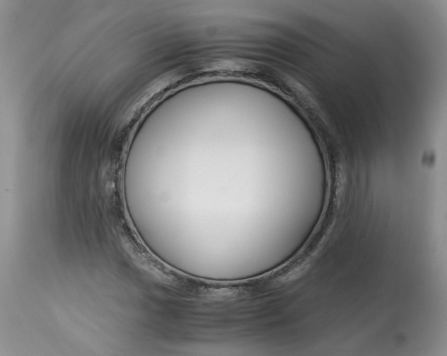 X0000114011017200910231810