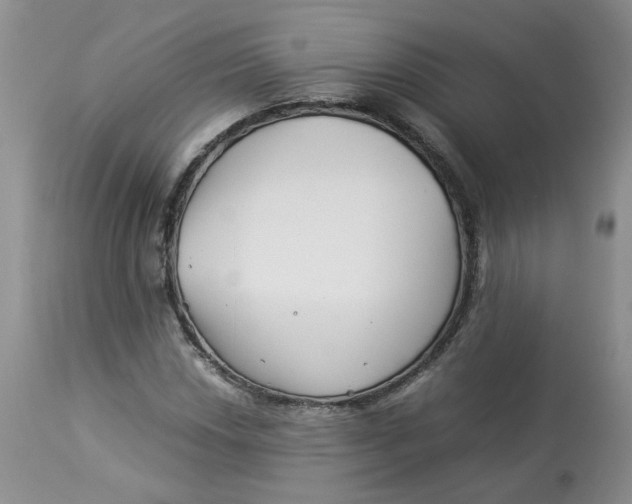 X0000114011018200910231810