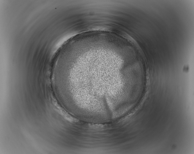 X0000114011019200910231810