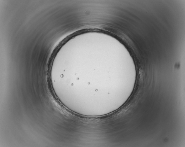 X0000114011020200910231810