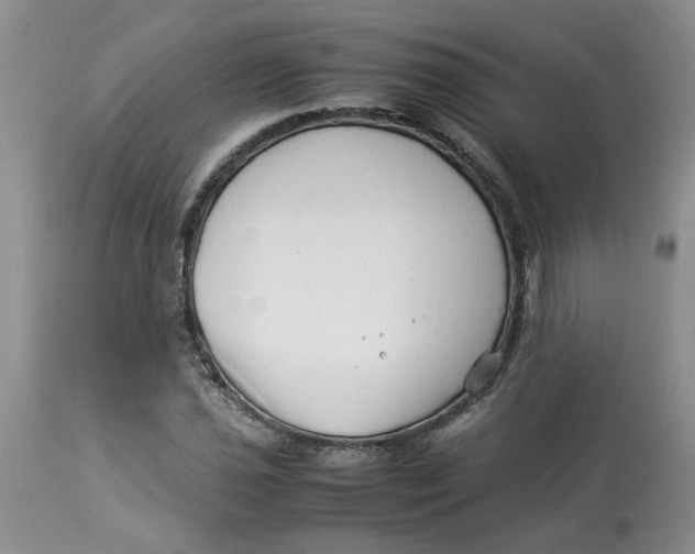 X0000114011021200910231810