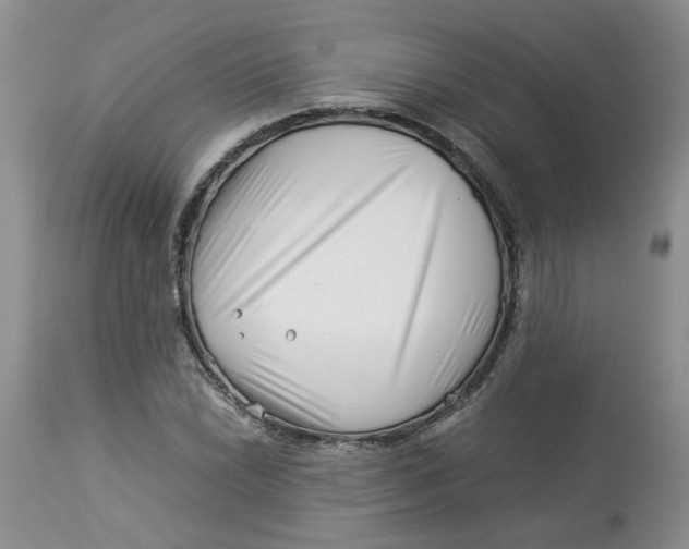 X0000114011022200910231810