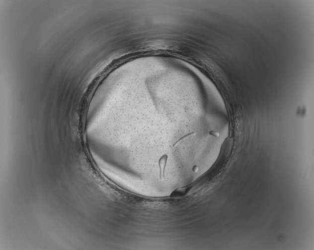 X0000114011023200910231810