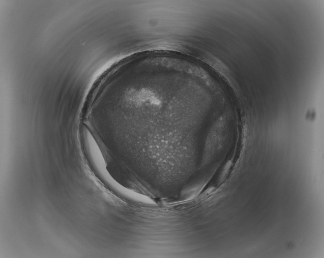 X0000114011024200910231810