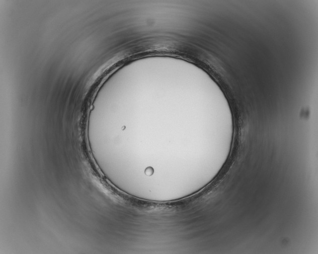 X0000114011026200910231810