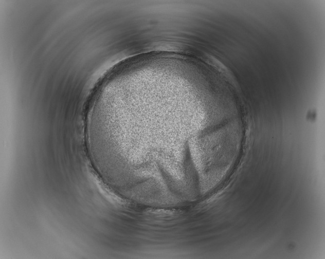 X0000114011027200910231810