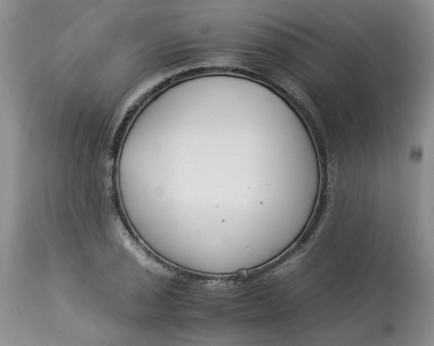 X0000114011029200910231810