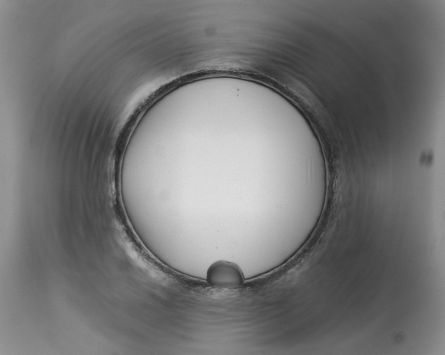 X0000114011030200910231810